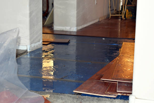 Professional Water Damage technician working in Sims, NC